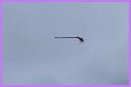 Disturbing video shows floating broom in the middle of the air and the internet is losing its collective mind